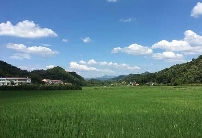 厦门蔬菜公司配送基地